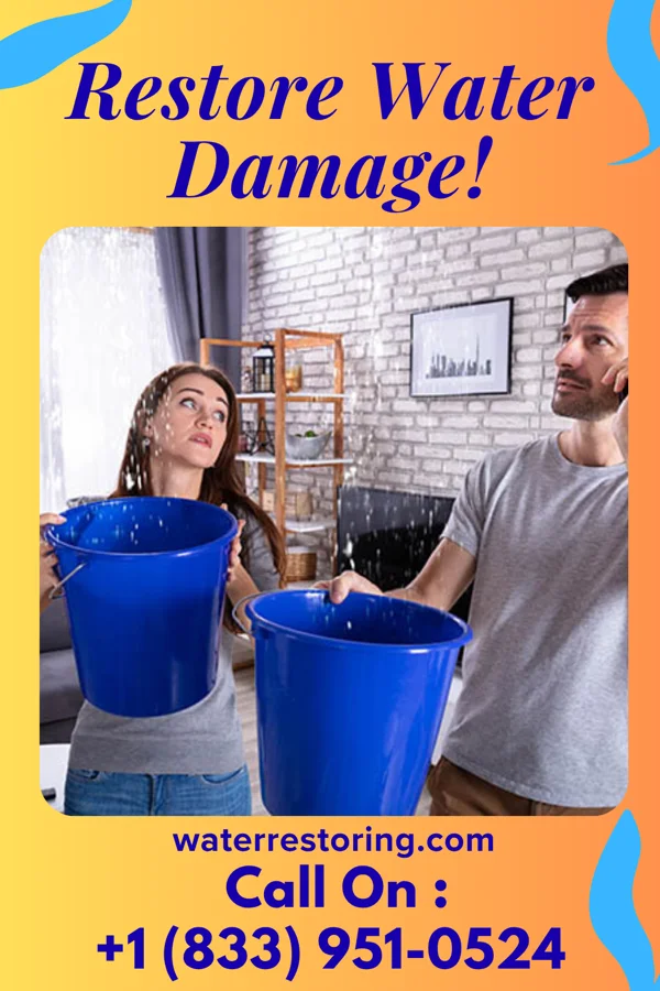 water restoration Pinnacle Water Repair Professionals Hollister