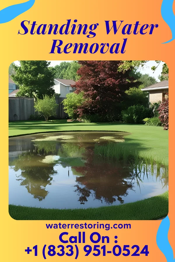 Standing Water Removal in Hollister, MO